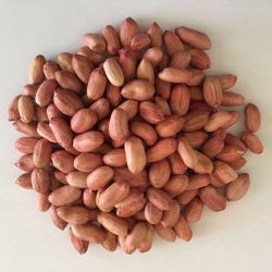 Peanuts
