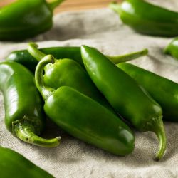 Organic Jalapeno Peppers 