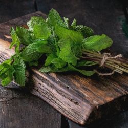 Mint leaves (fresh)