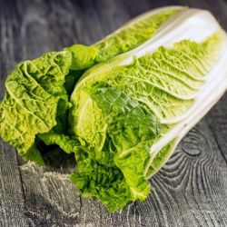 Organic Napa Cabbage (chinese cabbage)