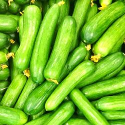Cucumber (Khira, Kakdi)