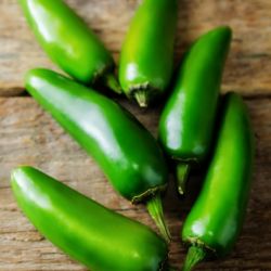 Fresh Jalapeno Peppers 