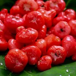 Red Jamun ( Jambu/Jamb/ Bell apple/Wax apple)