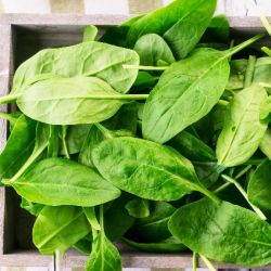 Spinach / Palak (Fresh)