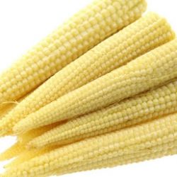 Sweet Baby Corn 