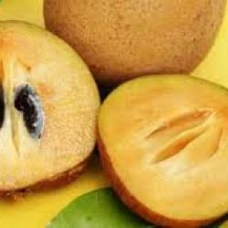 Organic Chikoo (sapota, sapodilla)