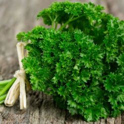 Parsley