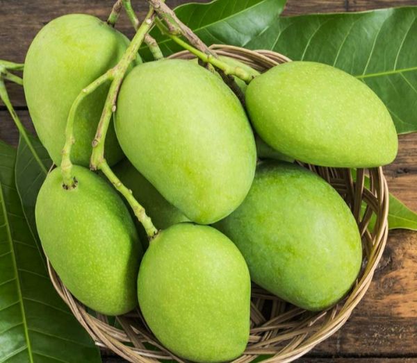 Organic Raw Mangoes 