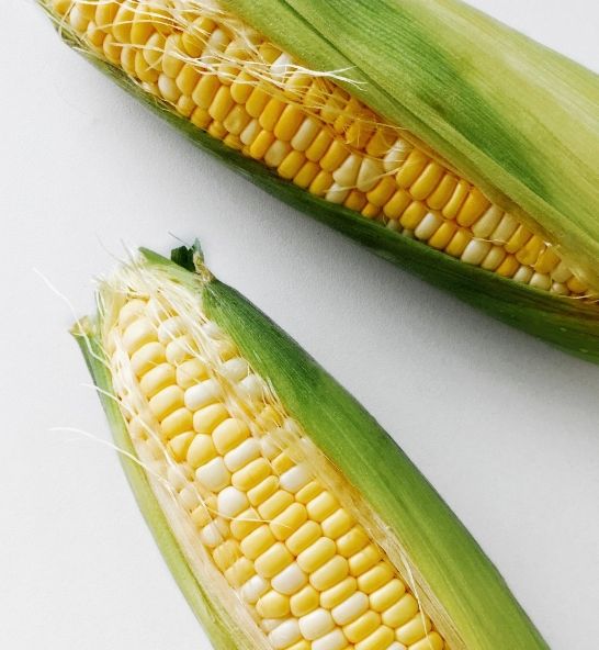 Sweet Corn