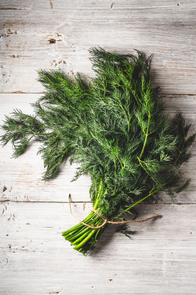Organic Dill Leaves