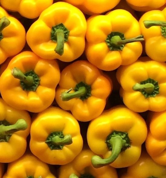 Organic Yellow Capsicum (bell pepper)