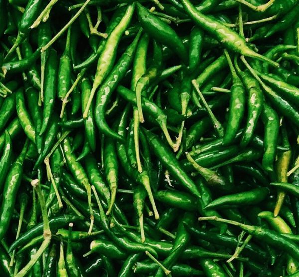 Green Chilli, Marcha