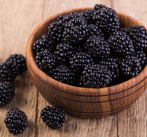 Blackberry 