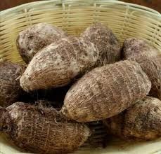 Colocasia (arbi- arvi- surti - Brown Eddoes)