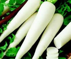 Radish