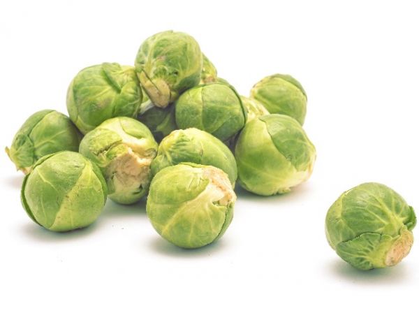 Organic Fresh Cabbage