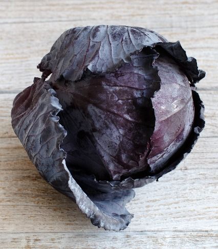 Red Cabbage (Red Brussels)