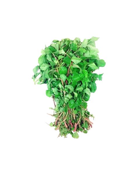 Amaranthus Green (Tandaljo)