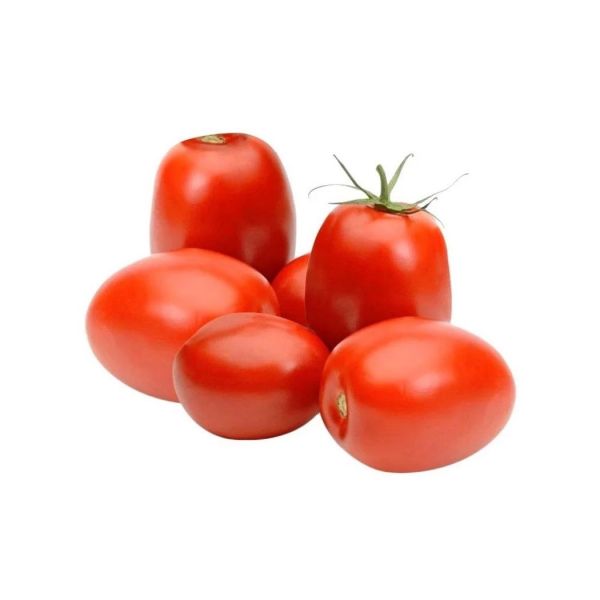 Tomato Hybrid