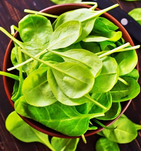 Organic Spinach / Palak (Fresh)