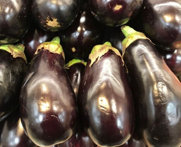 Brinjal Big  (violet)