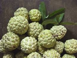 Custard Apple (Sitafal)
