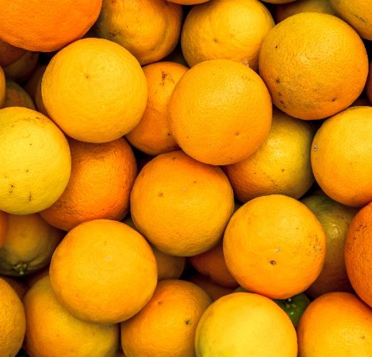 Malta Oranges