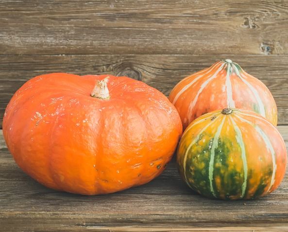 Organic Pumpkin (green/orange)