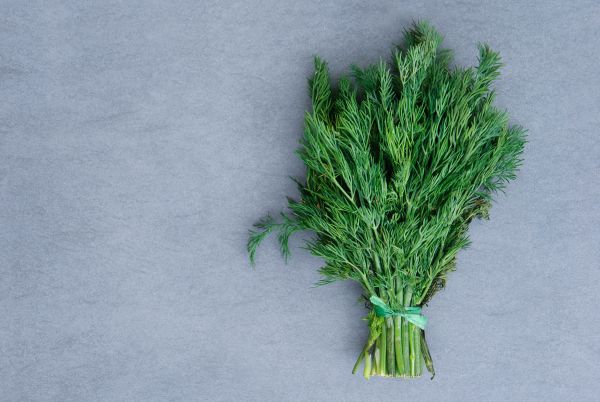 Organic Dill Leaves