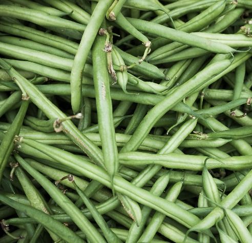 Green Beans 