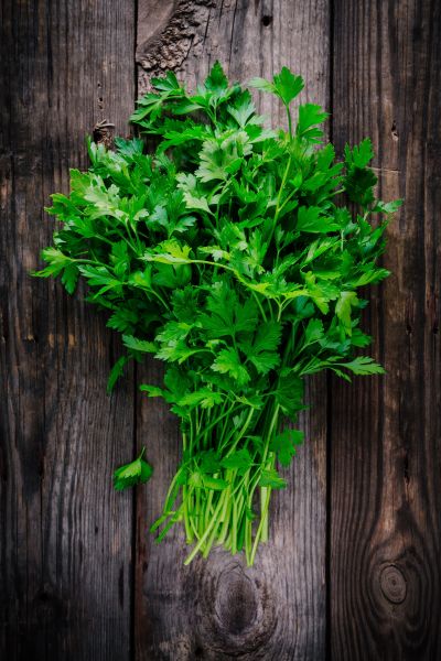 Coriander leaves 