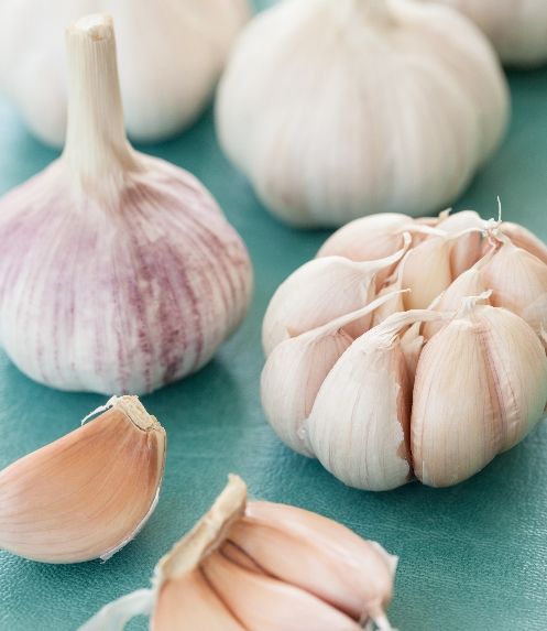 Organic Garlic 