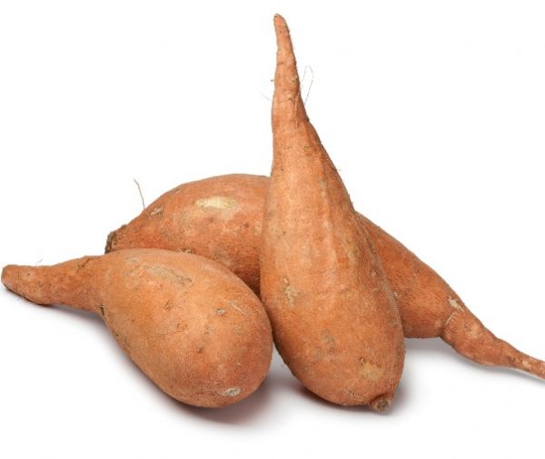 Sweet Potato