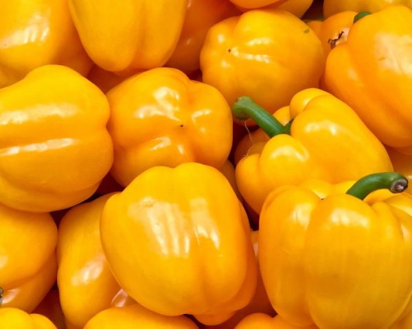 Organic Yellow Capsicum (bell pepper)