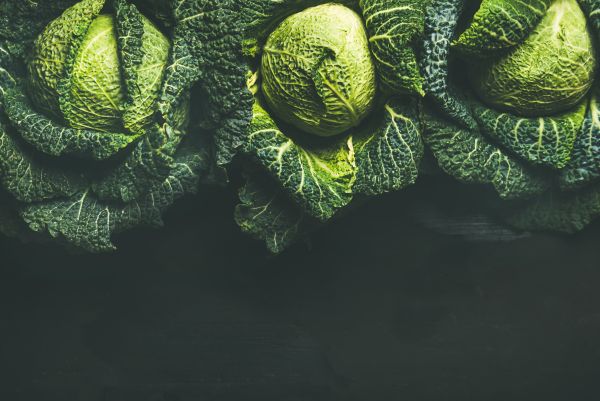 Savoy Cabbage