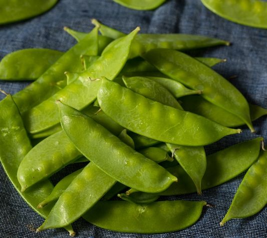 Organic Snow Peas 