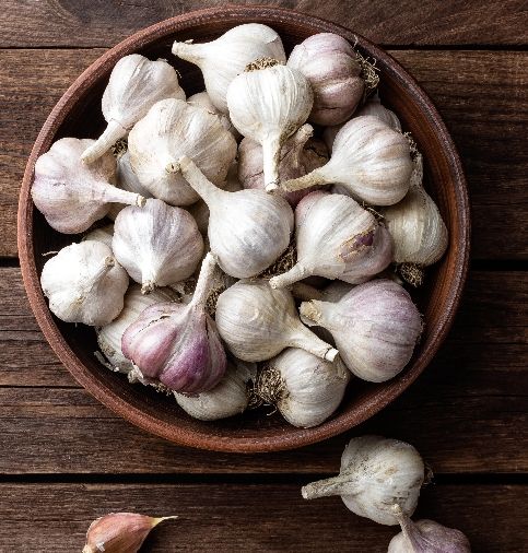 Organic Garlic 