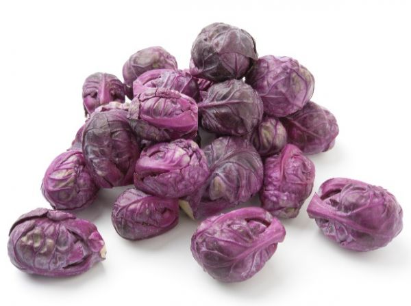 Organic Red Cabbage (Red Brussels)