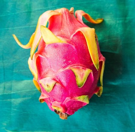 Dragon Fruit 