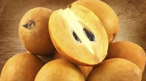 Chikoo (sapota, sapodilla)
