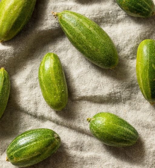 Pointed Gourd (Parval) 