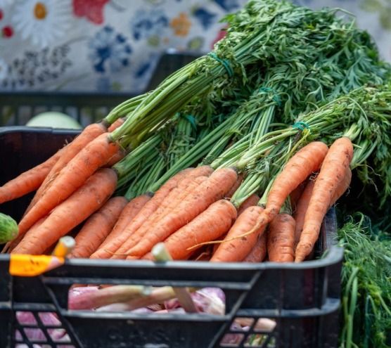 Carrots  (Indian fresh)