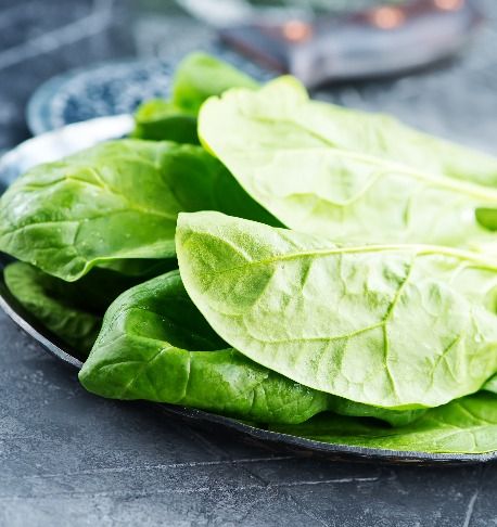 Spinach / Palak (Fresh)