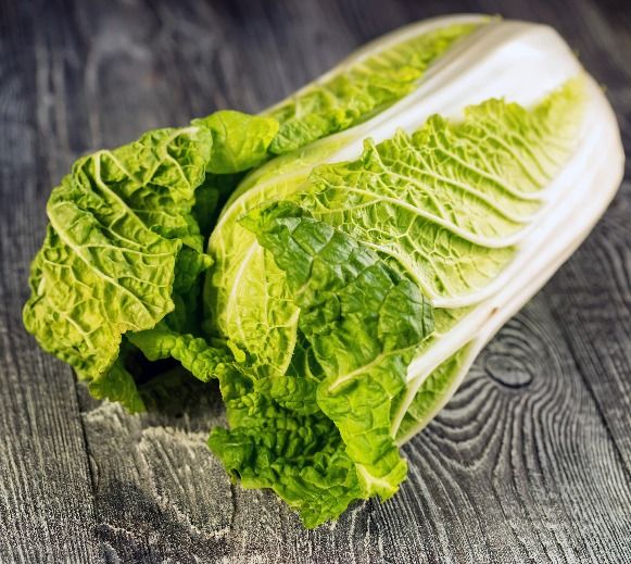 Organic Napa Cabbage (chinese cabbage)