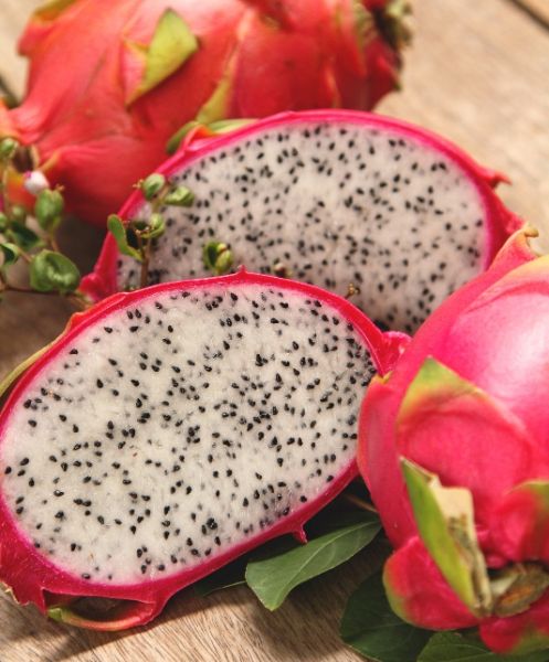 Dragon Fruit 