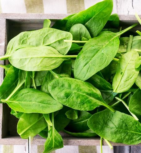 Spinach / Palak (Fresh)