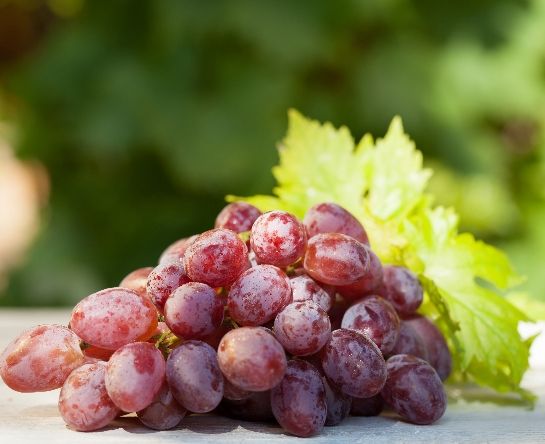 Red grapes