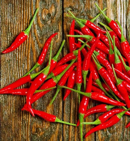 Organic Red Chilli (long)