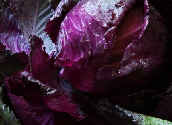 Red Cabbage (Red Brussels)