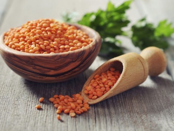  Masoor Dal  (Red Lentils)